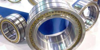 Full roller bearings  (Double Row Full Complement Cylindrical Roller Bearings)