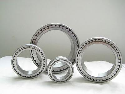 Full roller bearings (Single Row Full Complement Cylindrical Roller Bearings)