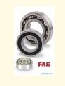 original bearing FAG Deep groove ball bearings(43**B series)