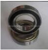 16007 16007ZZ 16007-2RS Deep Groove Ball Bearing Bearing supplier in Russia
